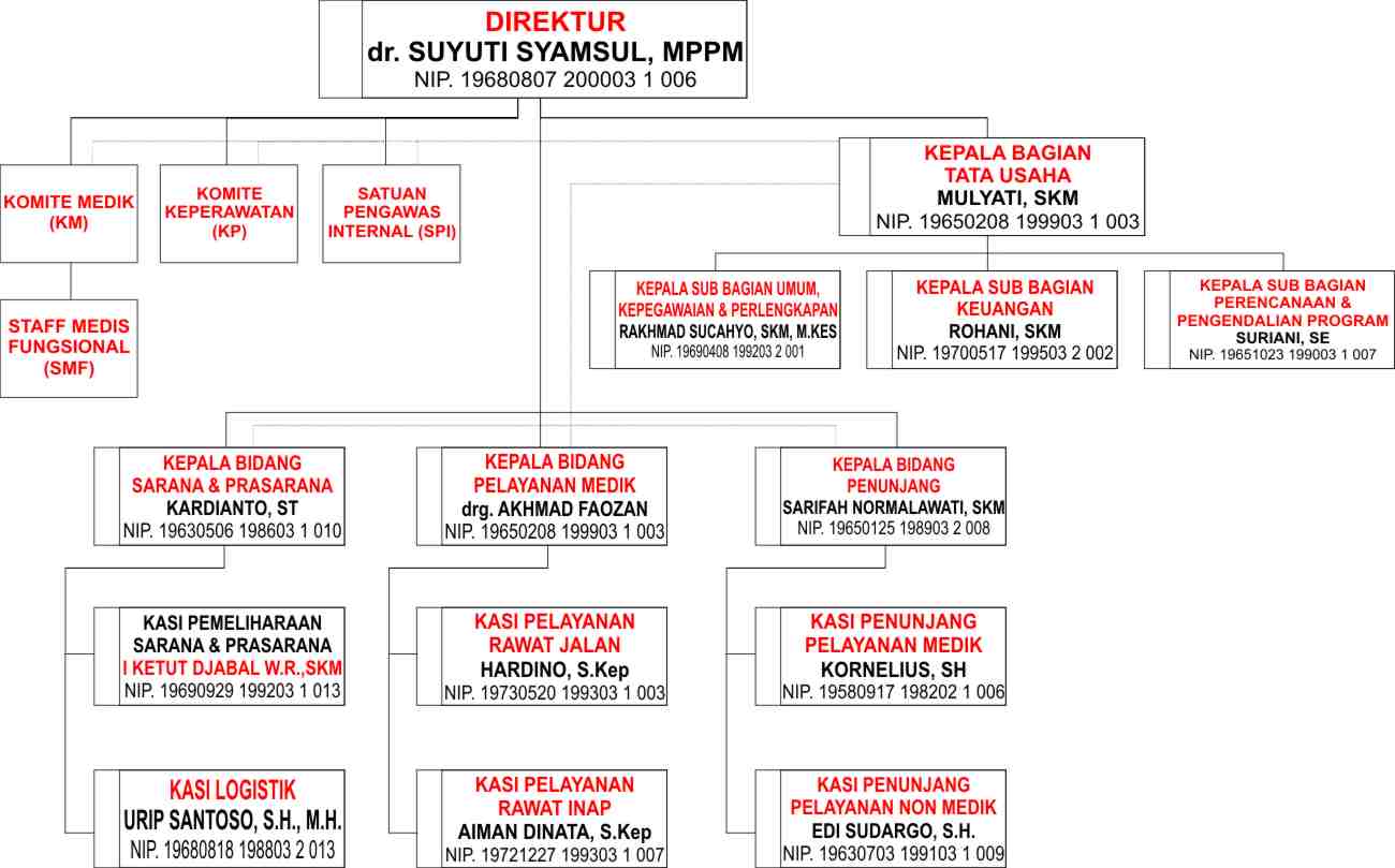 Struktur Organisasi  RSUD Sultan Imanuddin Pangkalan Bun